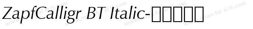 ZapfCalligr BT Italic字体转换